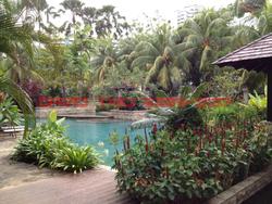 D'Ecosia (D15), Condominium #97542782
